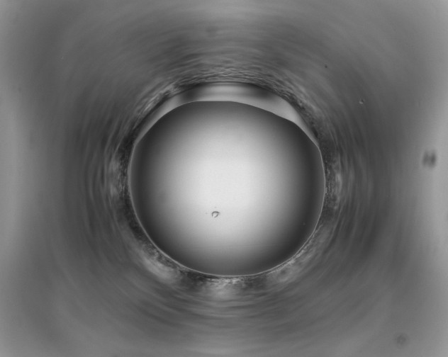 X0000094970136200711291513