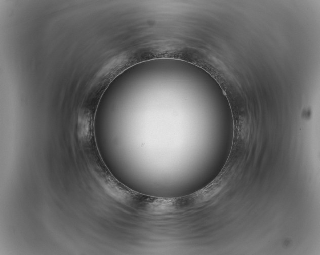 X0000094970138200711291513