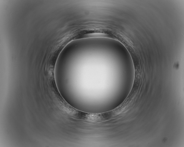 X0000094970141200711291513