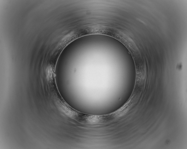 X0000094970142200711291513