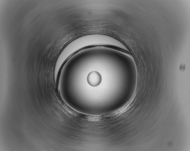 X0000094970144200711291513