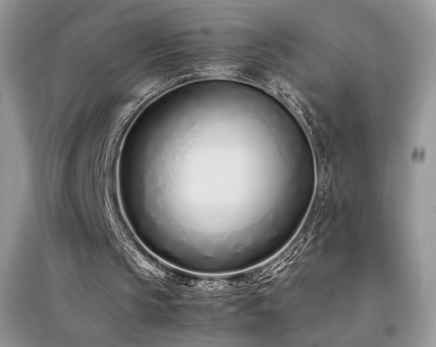 X0000094970145200711291512