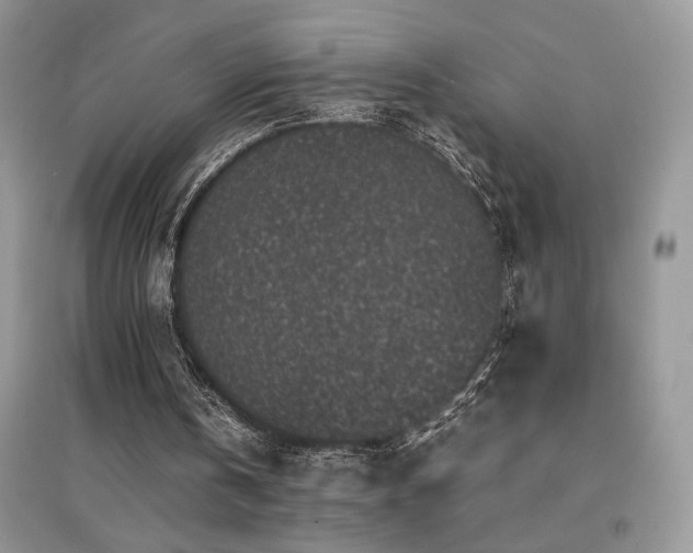 X0000094970146200711291512