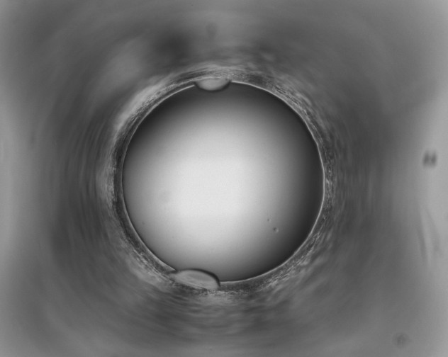 X0000094970149200711291512