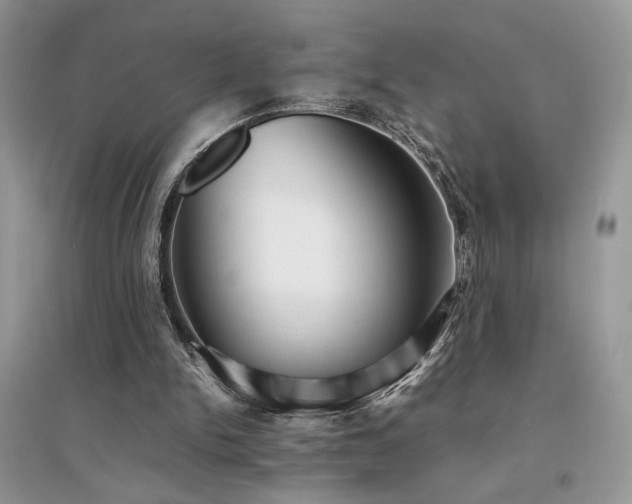 X0000094970150200711291512