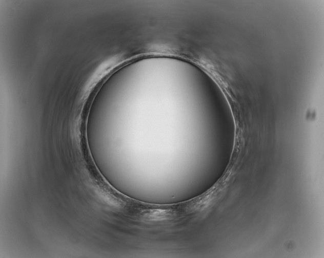 X0000094970151200711291512