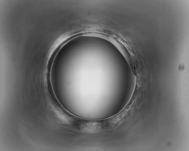 X0000094970152200711291512