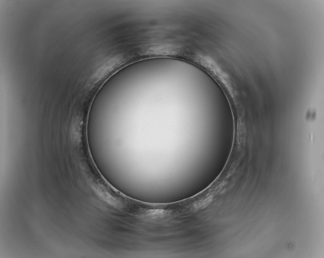 X0000094970153200711291512