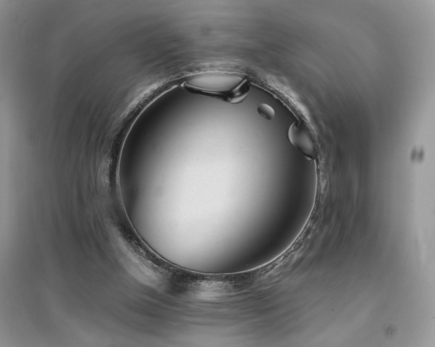 X0000094970154200711291512
