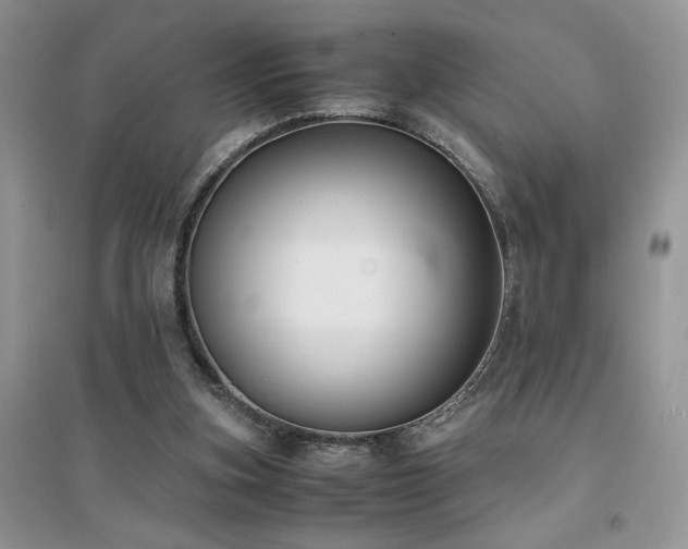 X0000094970155200711291512