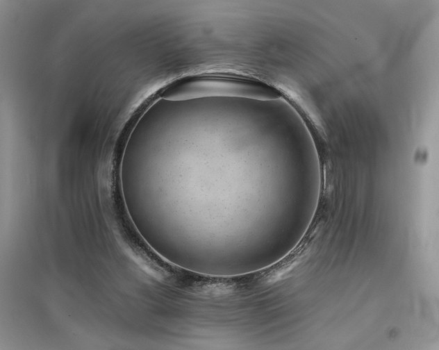 X0000094970156200711291512