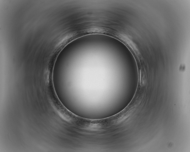 X0000094970157200711291512