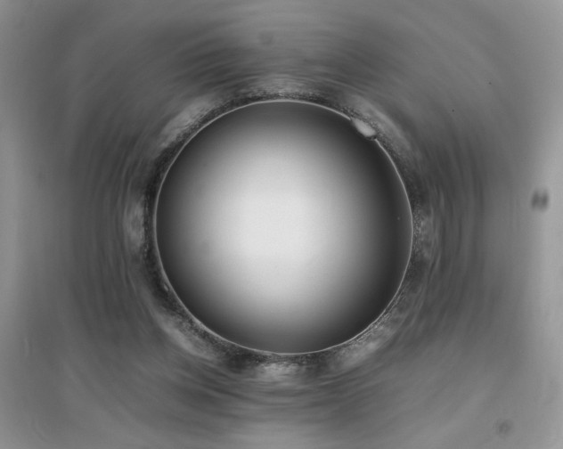 X0000094970158200711291512