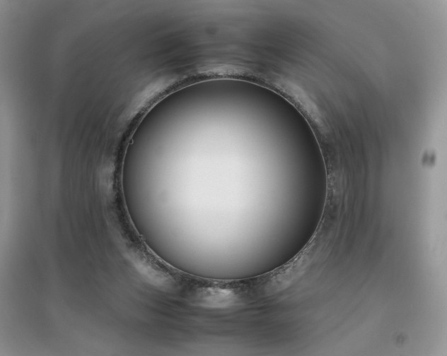 X0000094970159200711291512