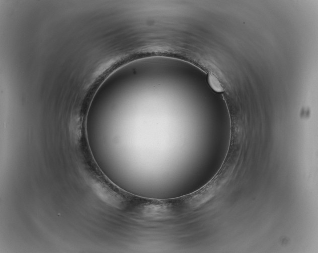 X0000094970160200711291512