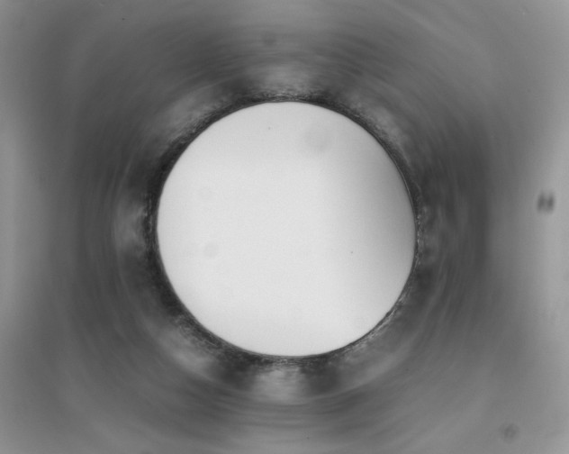 X0000094970162200711291512