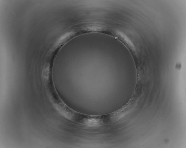 X0000094970163200711291512