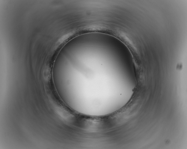 X0000094970164200711291512
