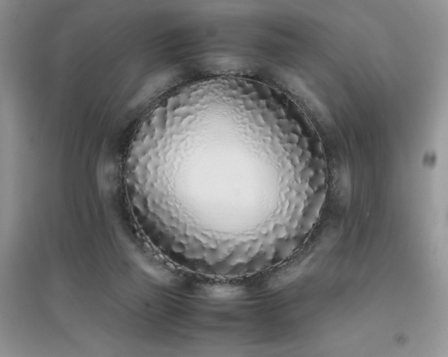 X0000094970165200711291512
