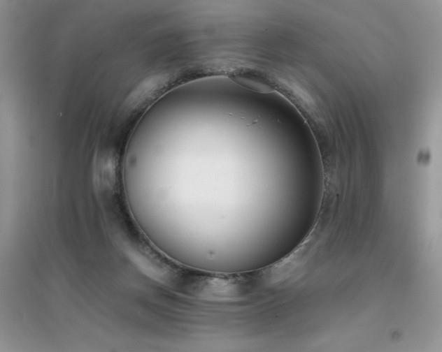X0000094970166200711291512