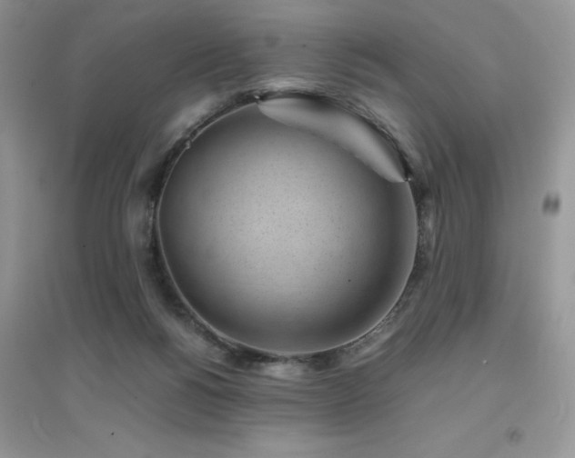 X0000094970168200711291512