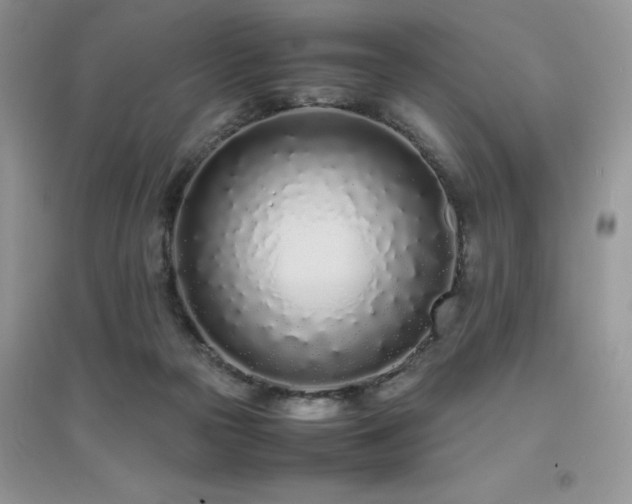 X0000094970169200711291512