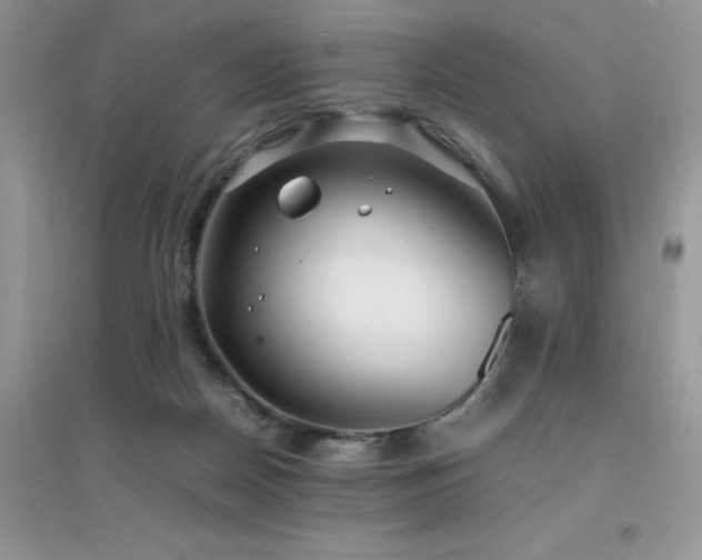 X0000094970170200711291512