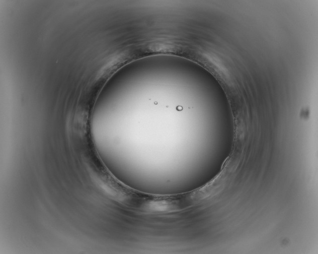 X0000094970171200711291512