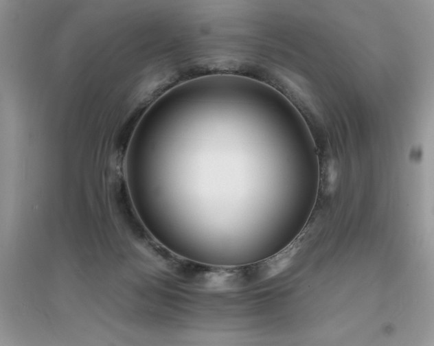 X0000094970172200711291512