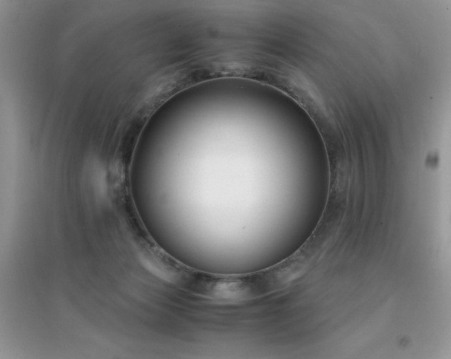 X0000094970173200711291512
