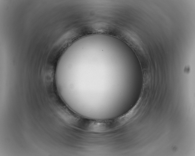 X0000094970174200711291512
