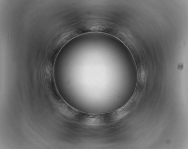 X0000094970175200711291512