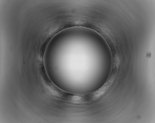 X0000094970176200711291512