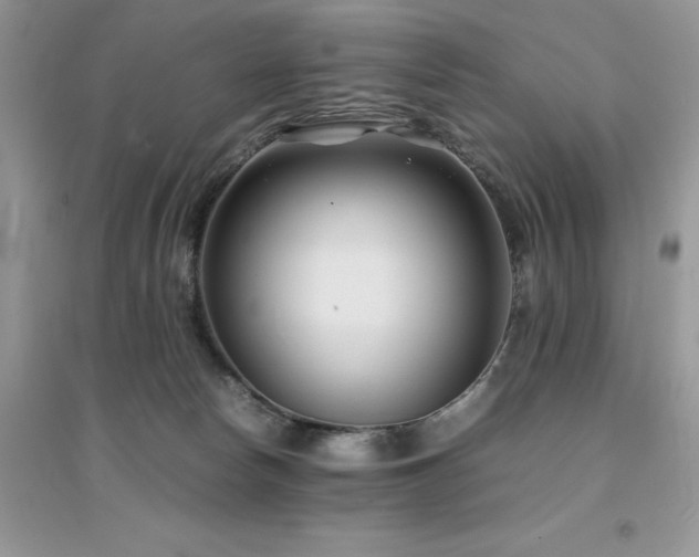 X0000094970178200711291512