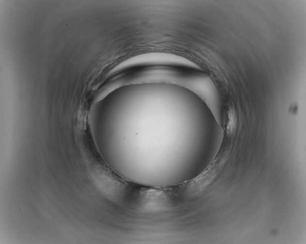 X0000094970180200711291512