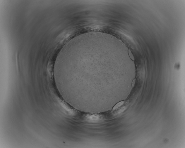 X0000094970181200711291512