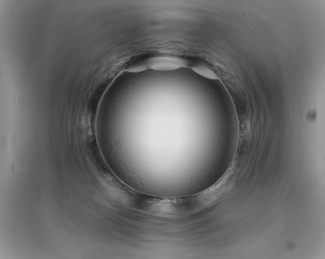 X0000094970182200711291512