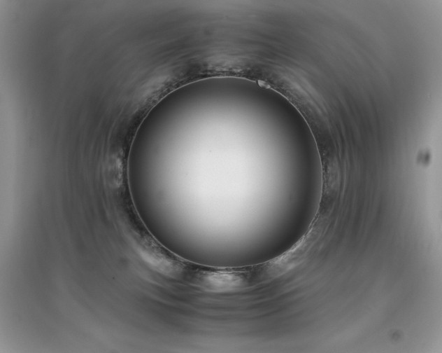 X0000094970183200711291512