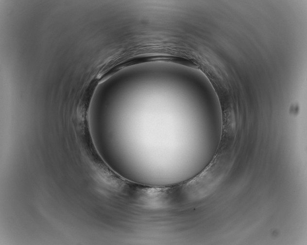 X0000094970184200711291512