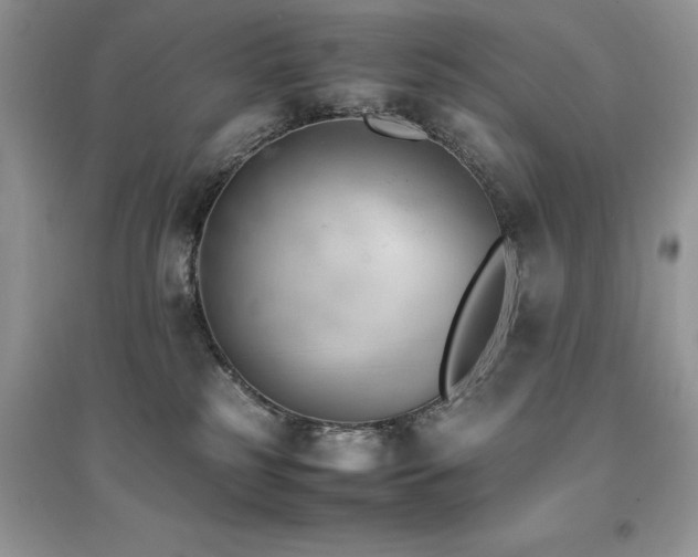 X0000094970185200711291512