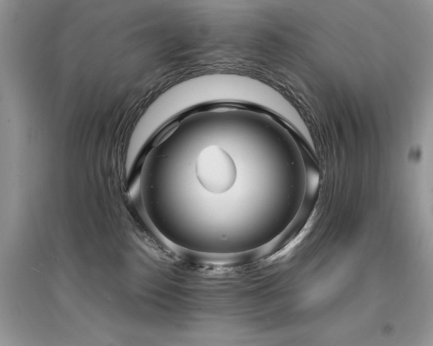 X0000094970186200711291512