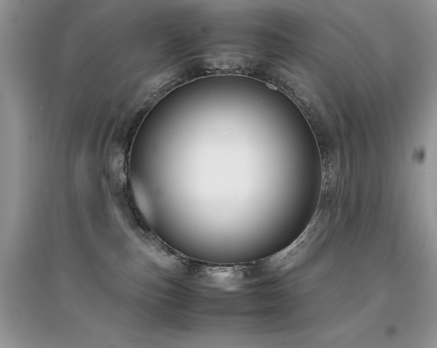 X0000094970187200711291512