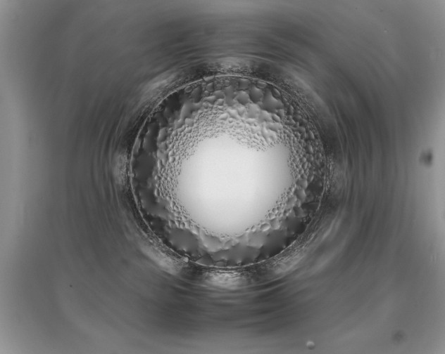 X0000094970189200711291512