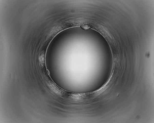 X0000094970190200711291512