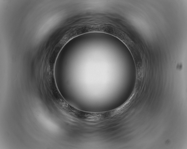 X0000094970191200711291512