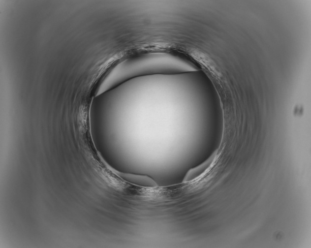 X0000094970192200711291512