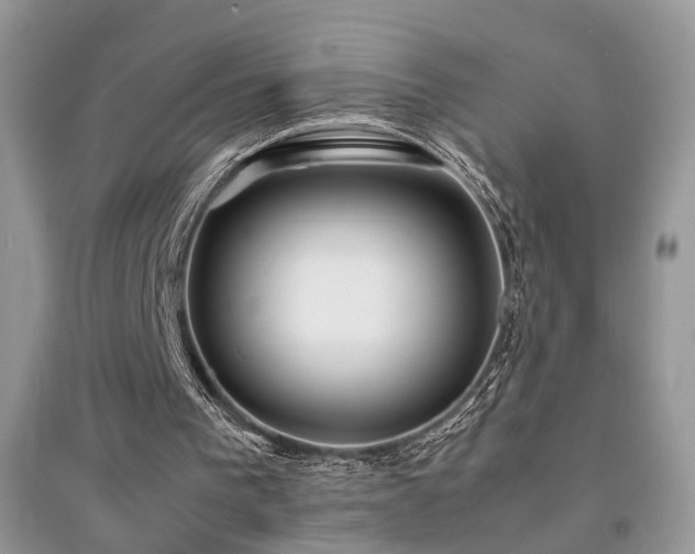 X0000094970193200711291511