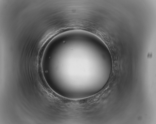 X0000094970194200711291511