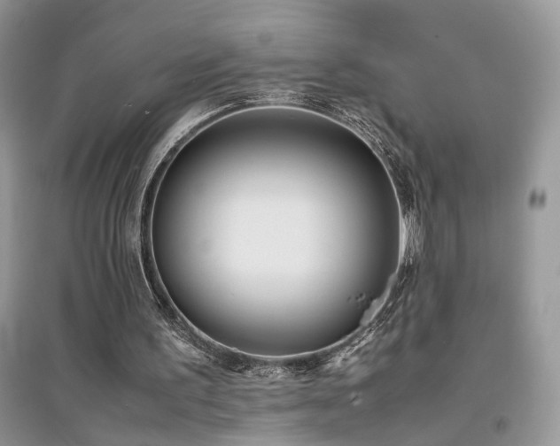 X0000094970195200711291511