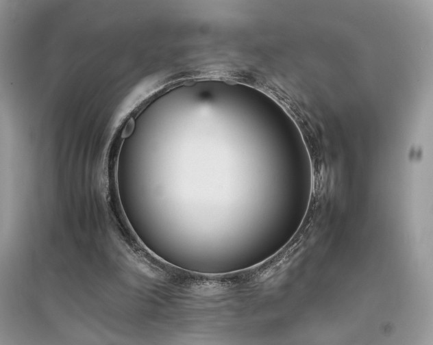 X0000094970198200711291511